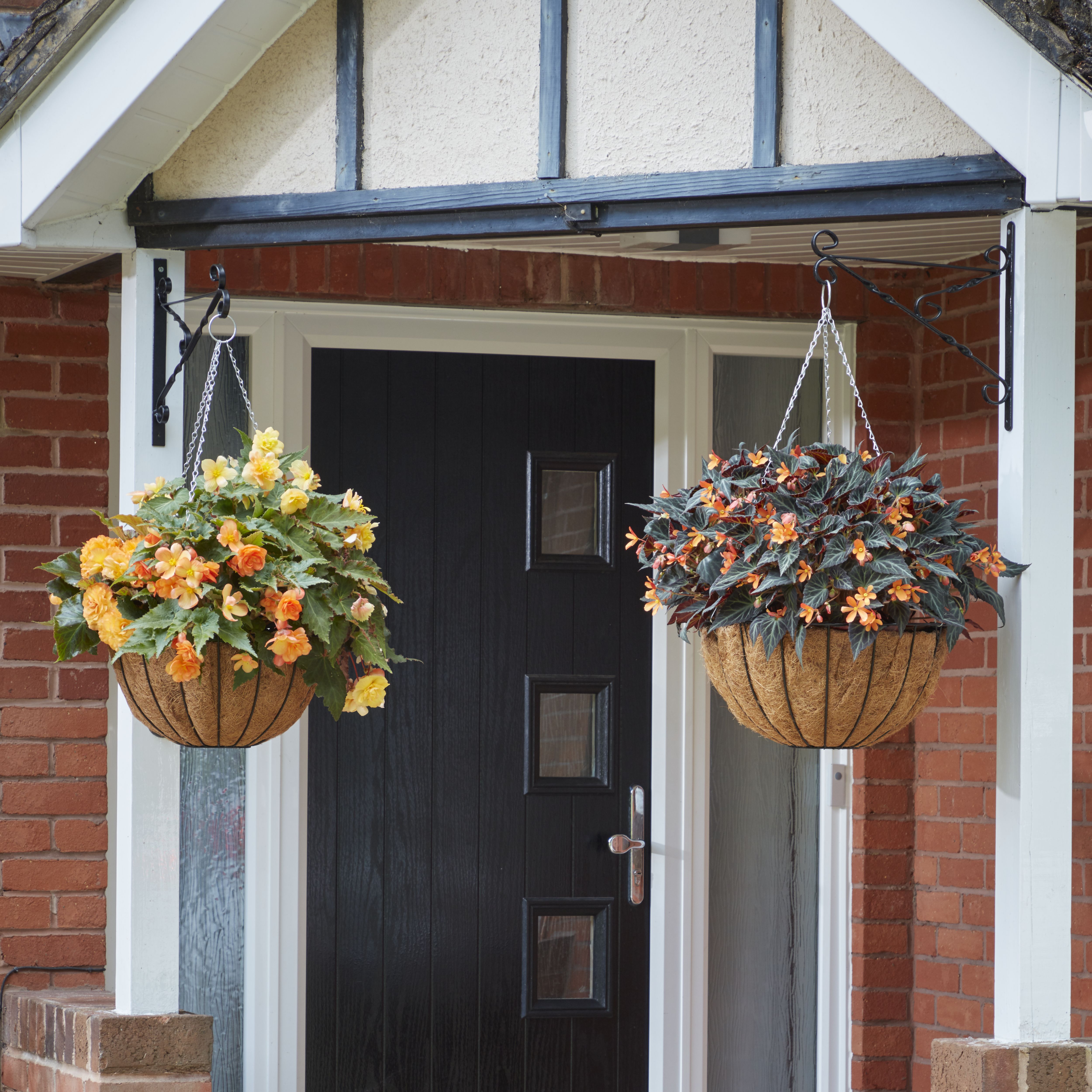 Panacea Classic design Wire Hanging basket, 35cm