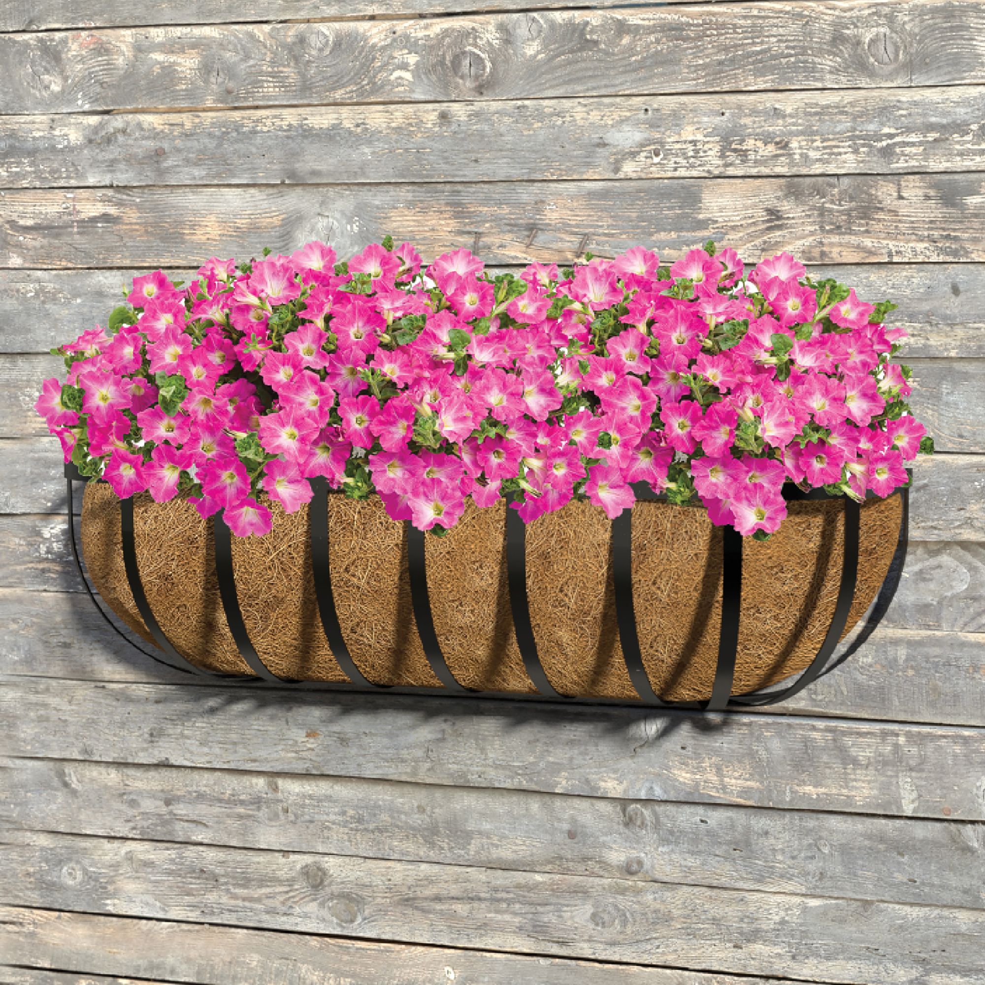 Panacea Hanging Garden Black Wall Rectangular Trough (W)76.2cm