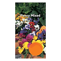 Pansy Seed