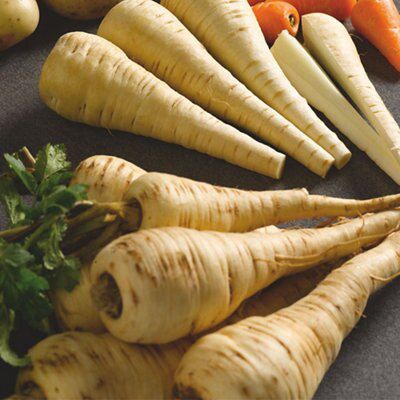 Parsnip Seed tape