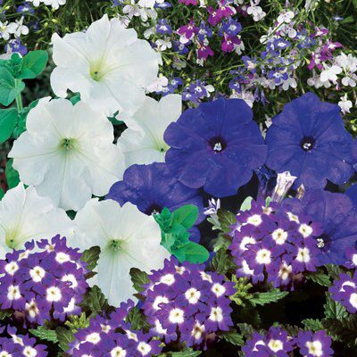 PATIO AND BASKET BLUE COLLECTION