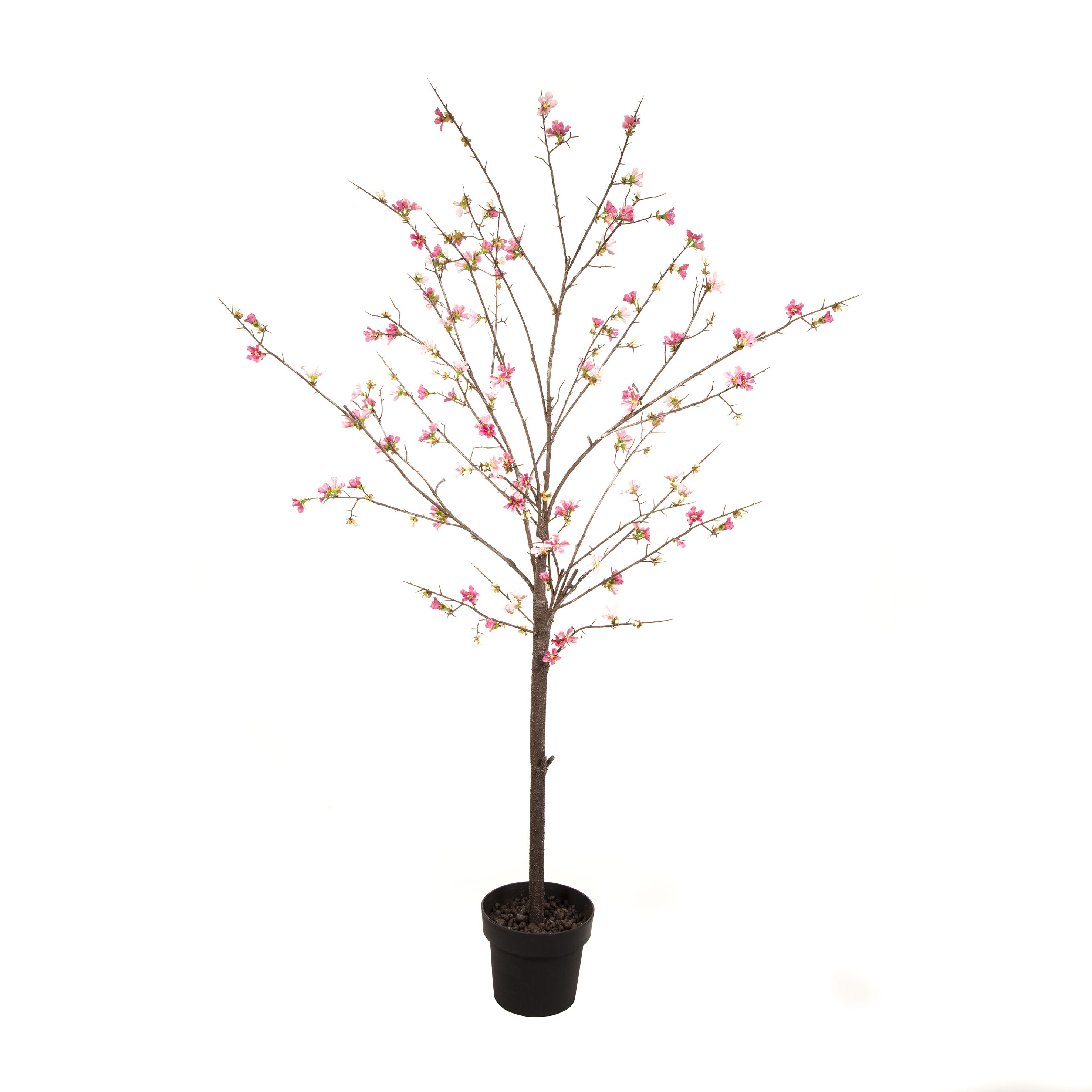 Peach 168cm Blossom tree Artificial plant in Black Plastic Pot
