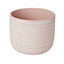 Peach whip Clay Striped Round Plant pot (Dia)20cm