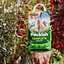 Peckish Complete Seed Wild bird feed 3.5kg