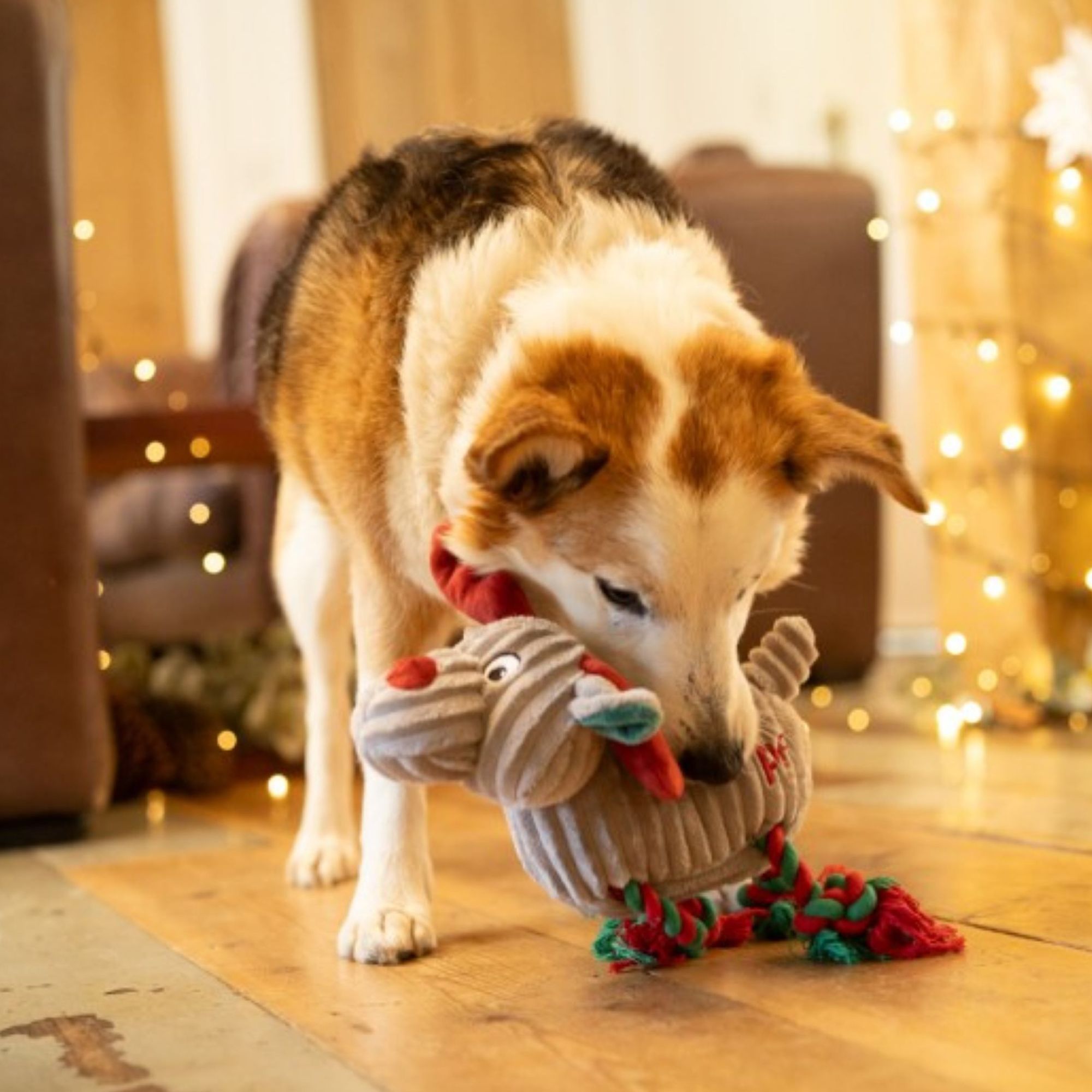 Petface Reindeer Dog Toy