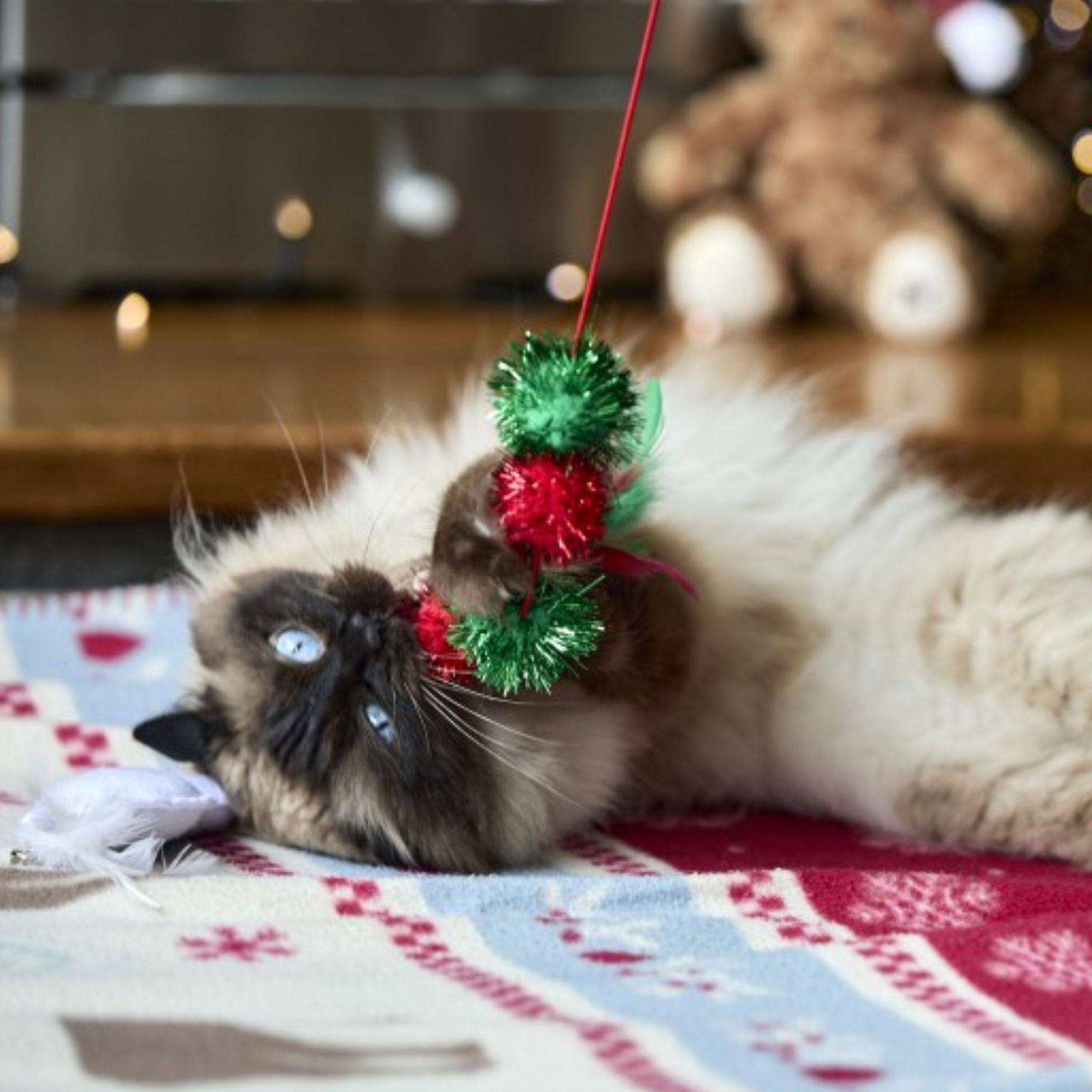 Petface Tinsel bobble Teaser Dog Toy