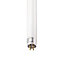 Philips T5 13W 4000K 1000lm Tube Ice white Light bulb (L)531.1mm