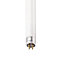 Philips T5 21W 4000K 2100lm Tube Ice white Fluorescent Light bulb (L)863.2mm