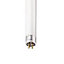 Philips T5 8W 4000K 470lm Tube Ice white Fluorescent Light bulb (L)302.5mm