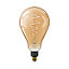 Philips WiZ E27 25W LED Cool white & warm white Non-dimmable Light bulb