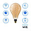 Philips WiZ E27 25W LED Cool white & warm white Non-dimmable Light bulb