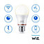 Philips WiZ E27 60W LED Cool white A60 Smart Light bulb, Pack of 2