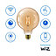 Philips WiZ G125 E27 50W LED Cool white & warm white Filament Smart Light bulb