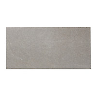 Piazentina Grey Matt Flat Stone effect Porcelain Wall & floor Tile Sample