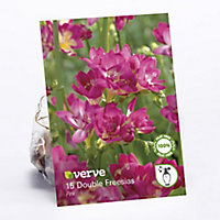 Pink Double Freesias Flower bulb, Pack of 15