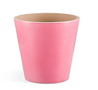 Pink Terracotta Plant pot