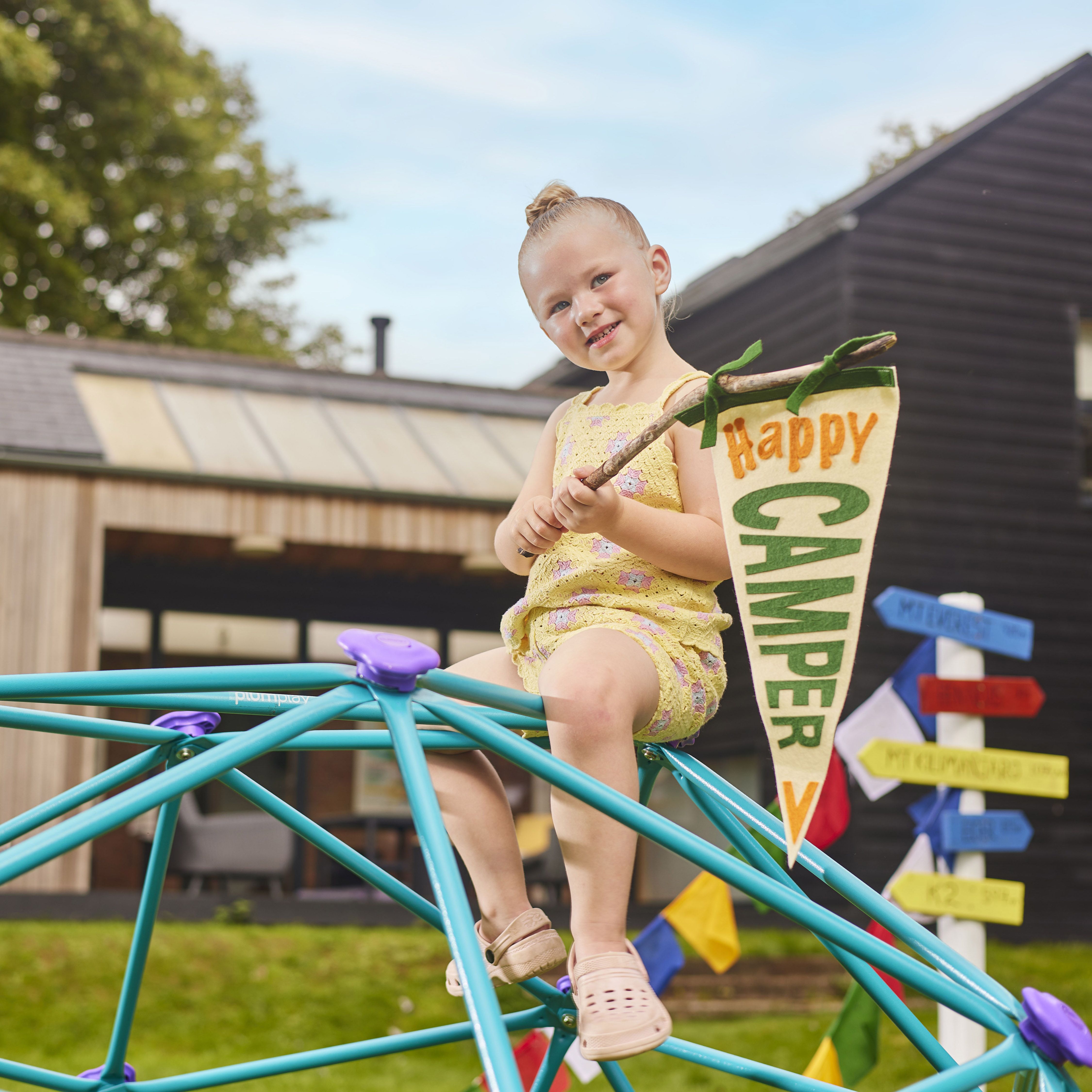 Plum play climbing dome online