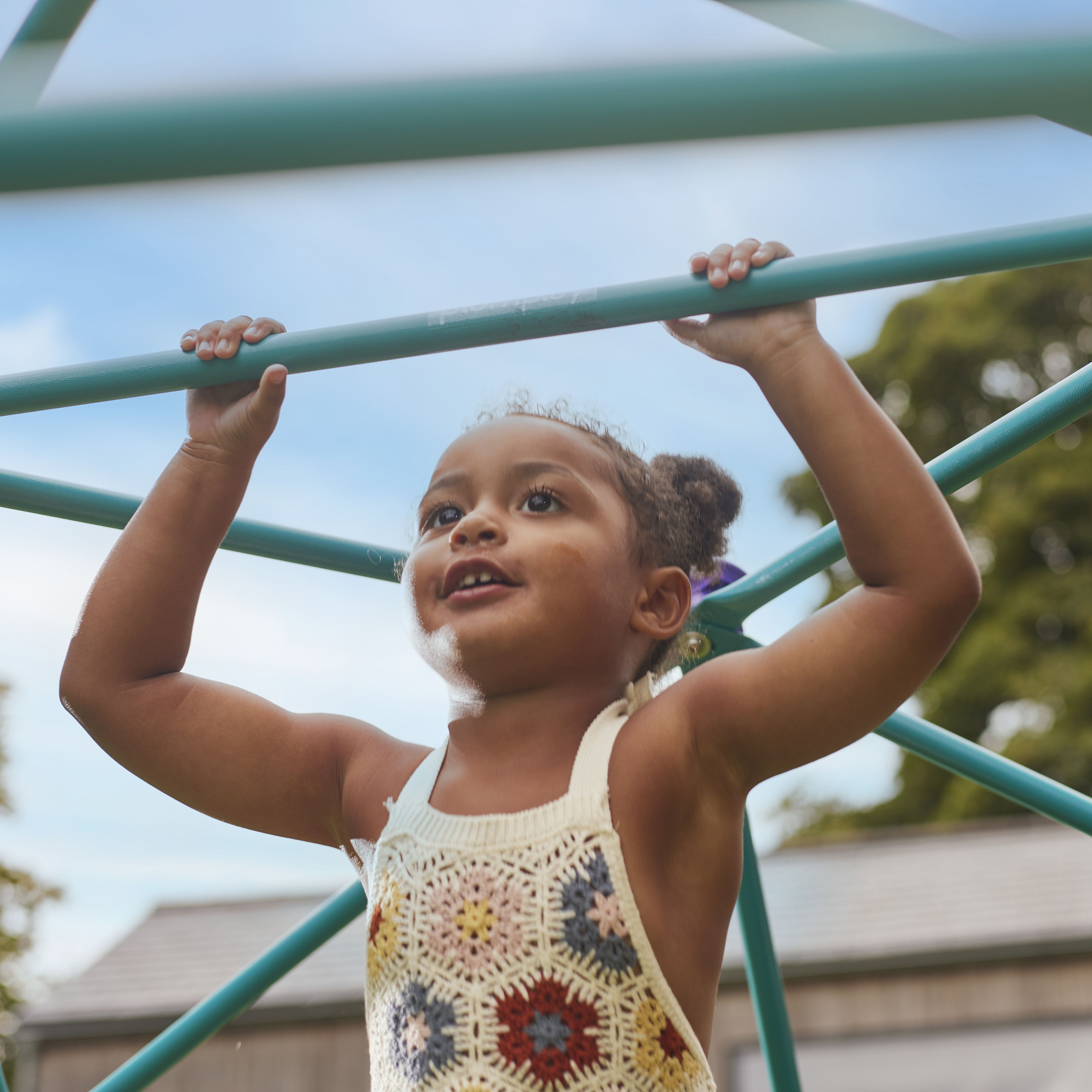 Plum Teal Metal Small Domed Climbing frame