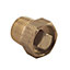 Plumbsure Brass Bottle air vent, (Dia)3.2mm