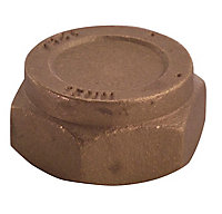 Plumbsure Brass Compression Blanking cap (Dia)22mm