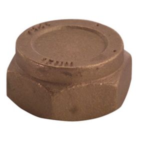 Plumbsure Brass Compression Blanking cap