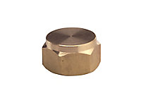 Plumbsure Brass Compression Cap (Dia)19mm
