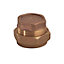 Plumbsure Brass Compression Stop end (Dia)15mm