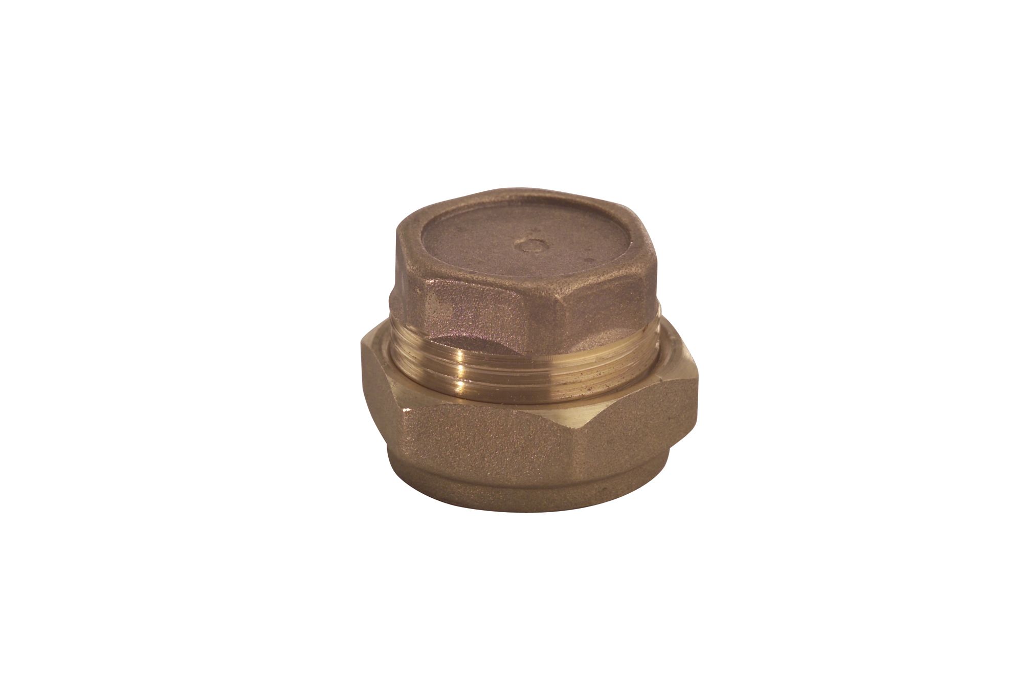 Plumbsure Brass Compression Stop end (Dia)22mm