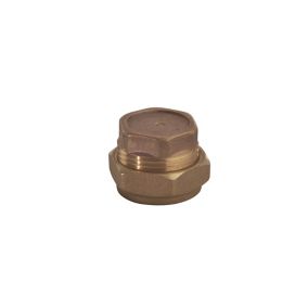 Plumbsure Brass Compression Stop end (Dia)22mm