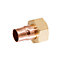 Plumbsure Straight End feed Tap connector 15mm x 0.5"