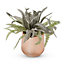 Pot with artificial fern