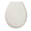 PP low weight White Bottom fix Standard close Toilet seat