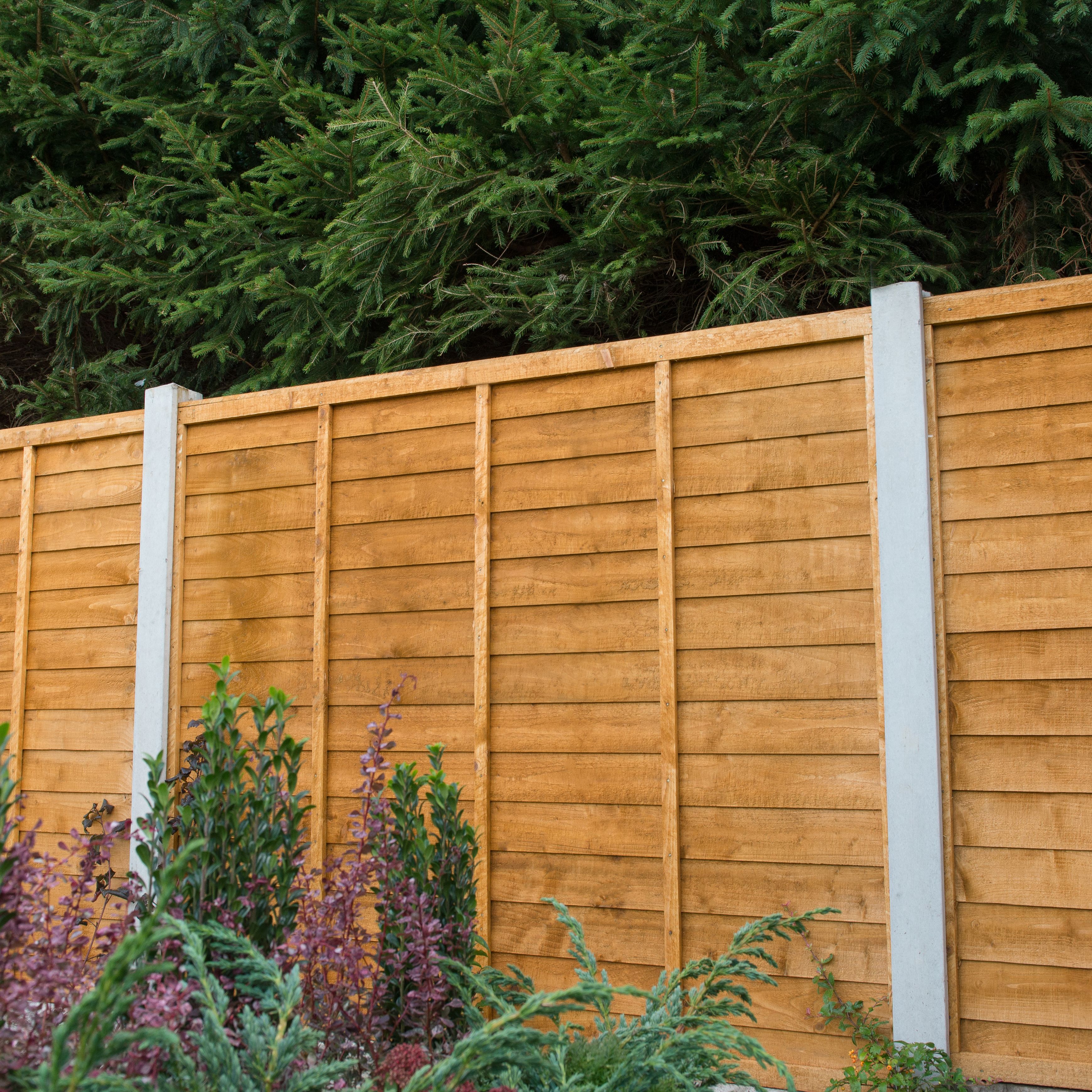 Premier Dip treated 5ft Autumn gold Wooden Fence panel (W)1.83m (H)1.52m, Pack of 3