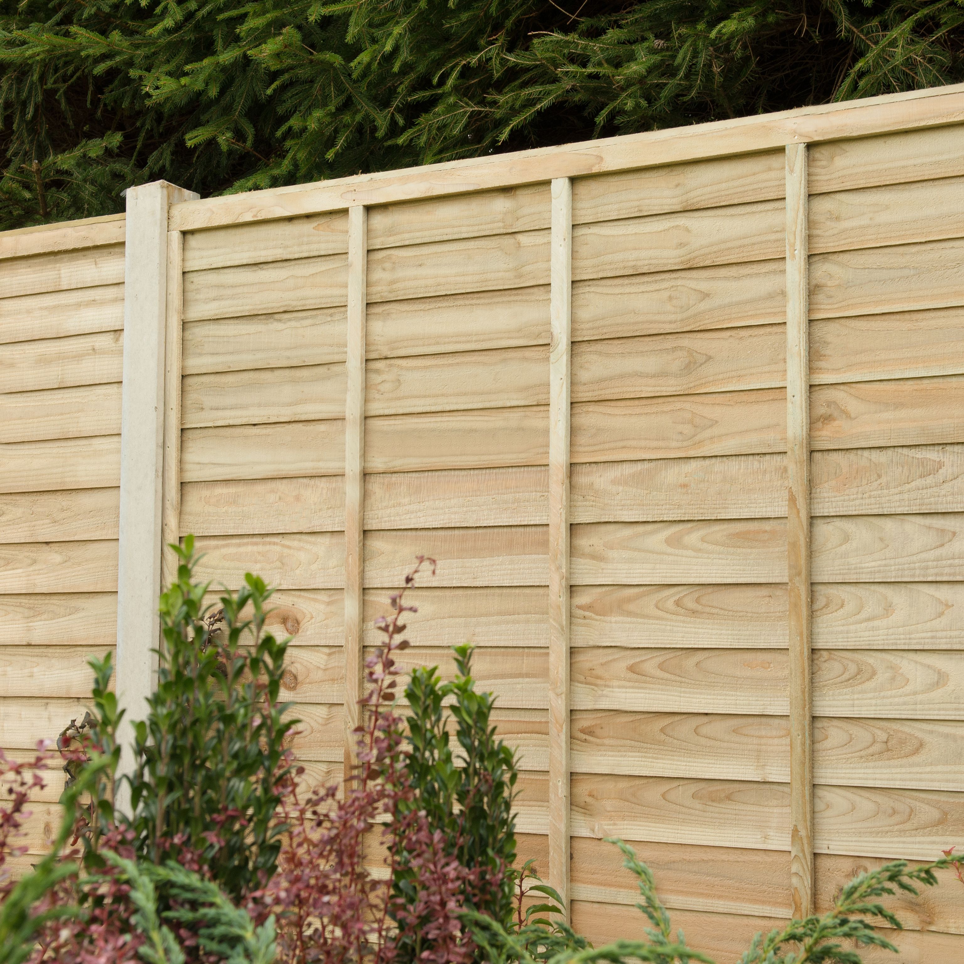 Premier Overlap Pressure treated 6ft Green Wooden Fence panel (W)1.83m (H)1.83m, Pack of 3