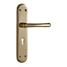 Premier Polished Brass effect External Straight Lock Door handle, Set