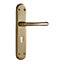 Premier Polished Brass effect External Straight Lock Door handle, Set