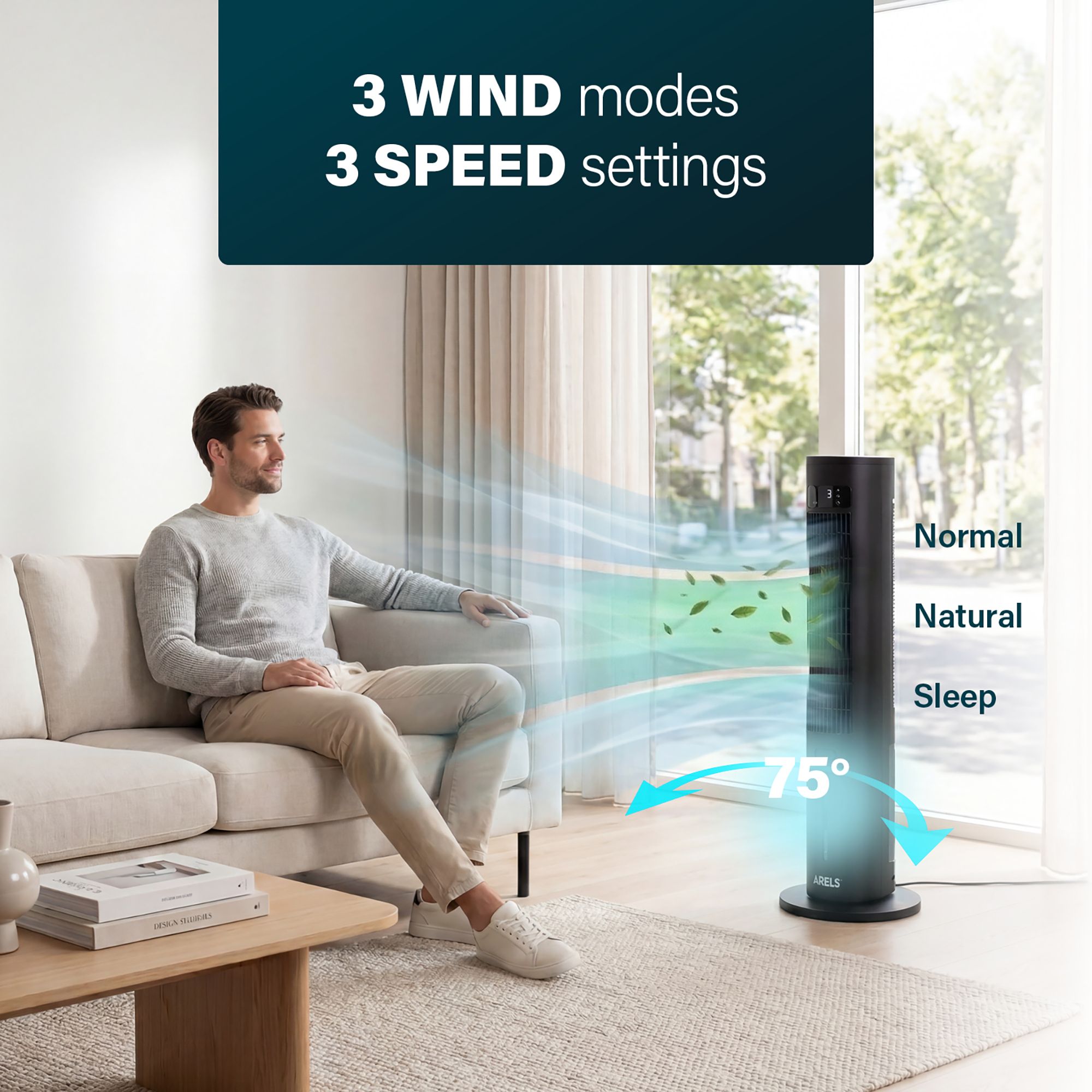 Princess Black Remote controlled Smart Air cooler
