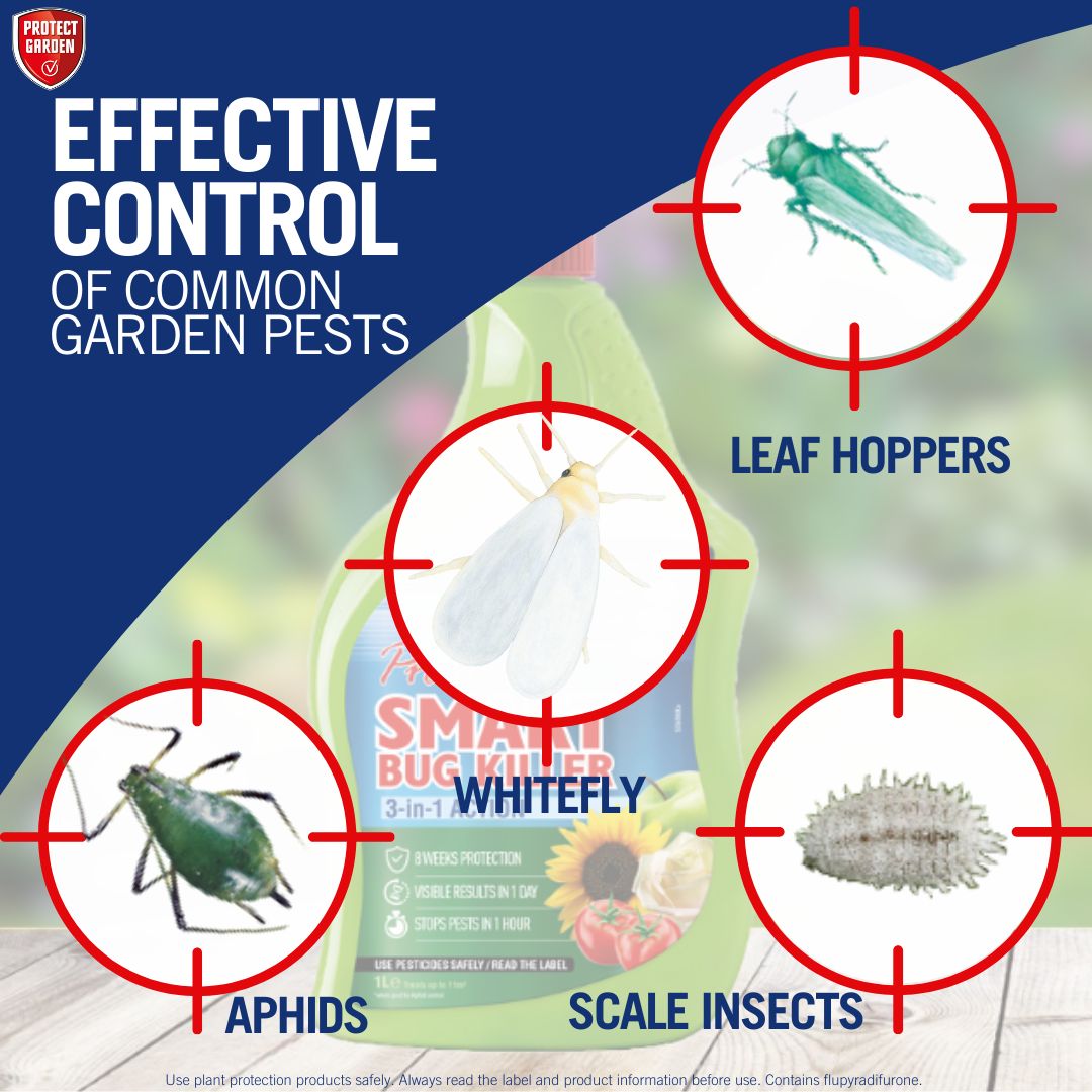Provanto Insecticides Insect spray 1L 1000g