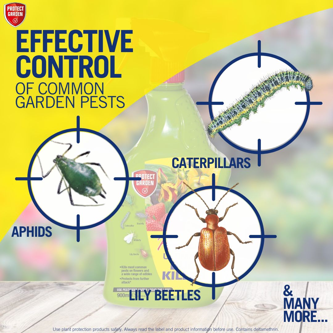 Provanto Ultimate Bug Killer Insect spray 1L