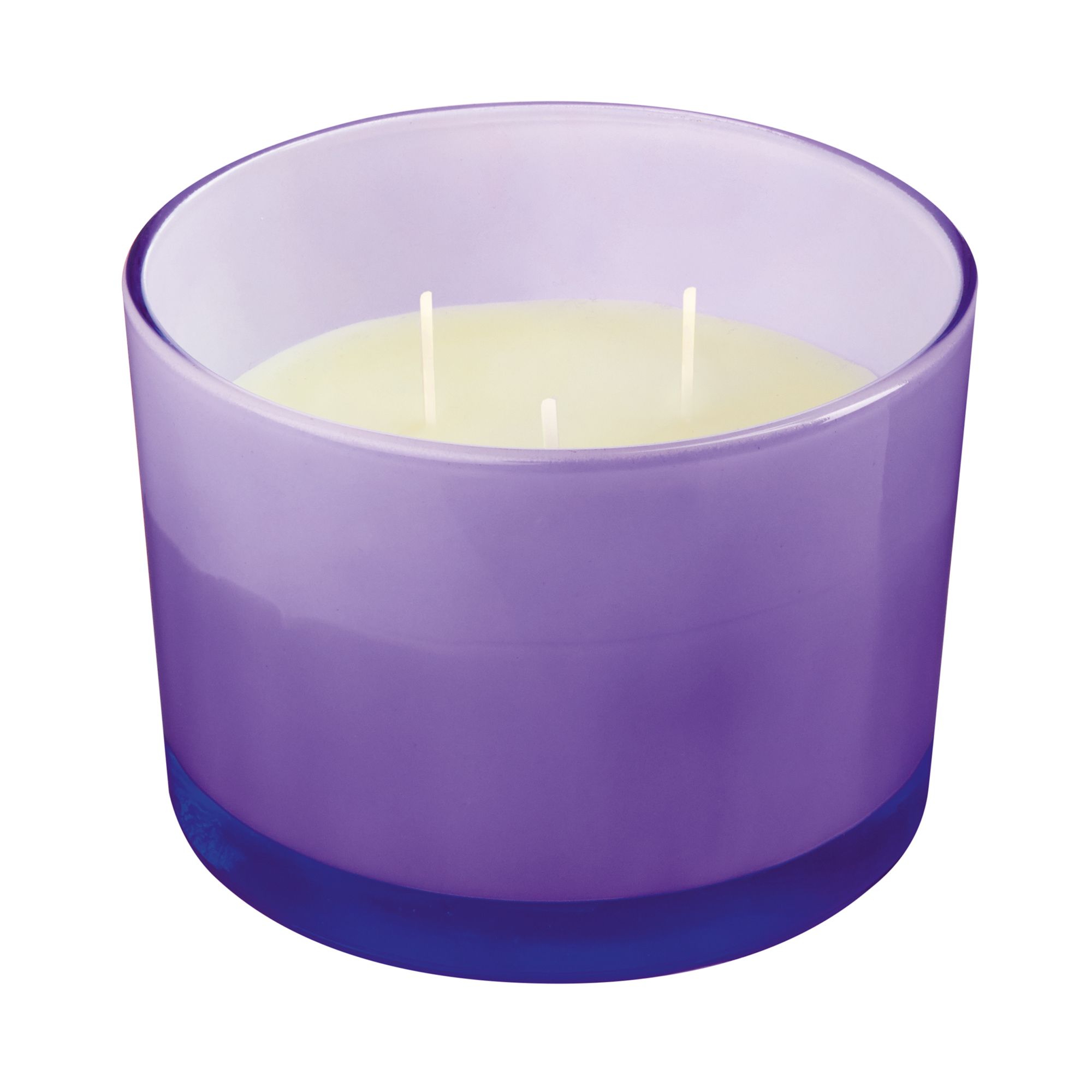 Purple Lemon grass Citronella Small Scented candle
