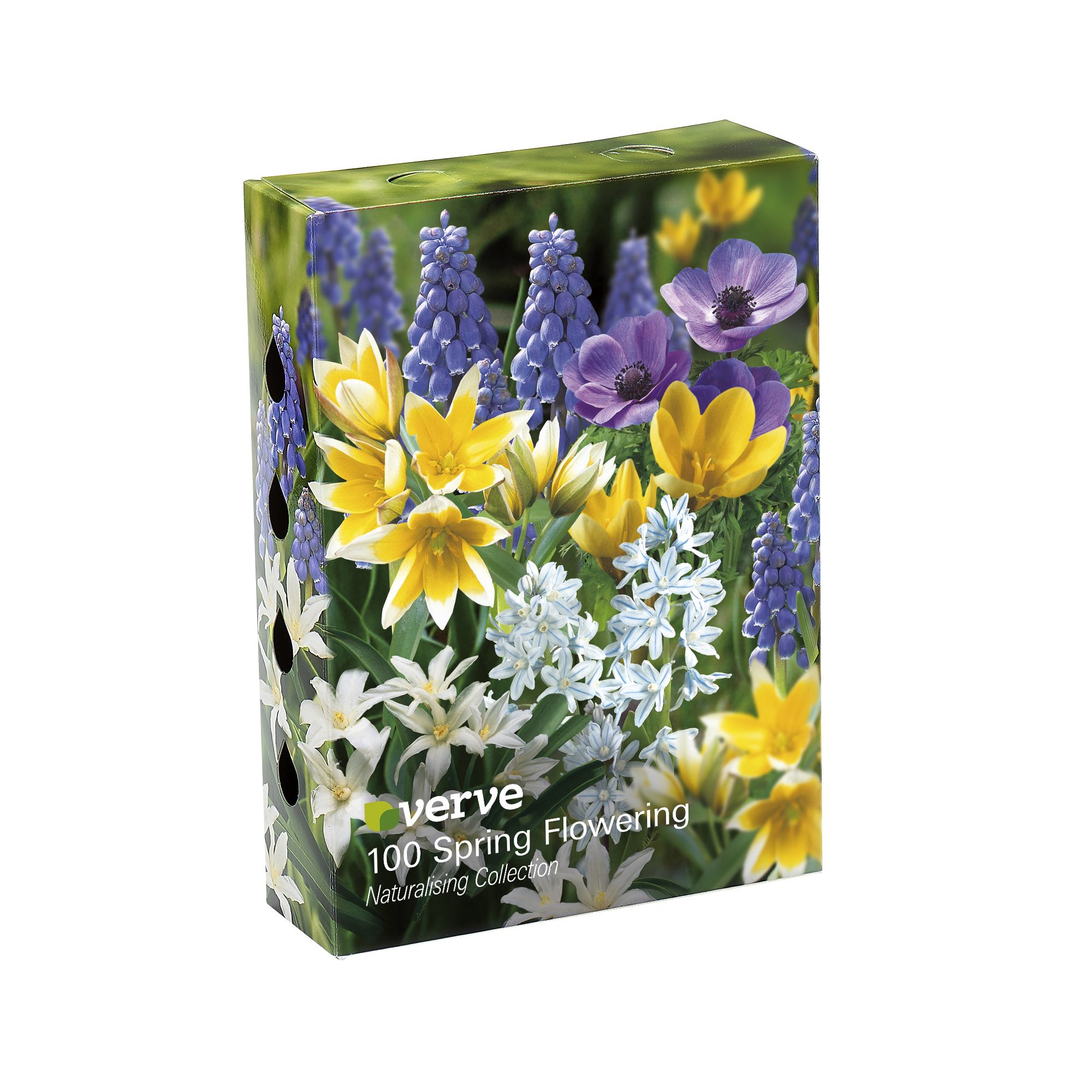 Puschkinia libanotica, Tulip tarda, Glory Of The Snow White, Anemone Royale, Grape Hyacinth, Crocus Romance 100 Flower bulbs