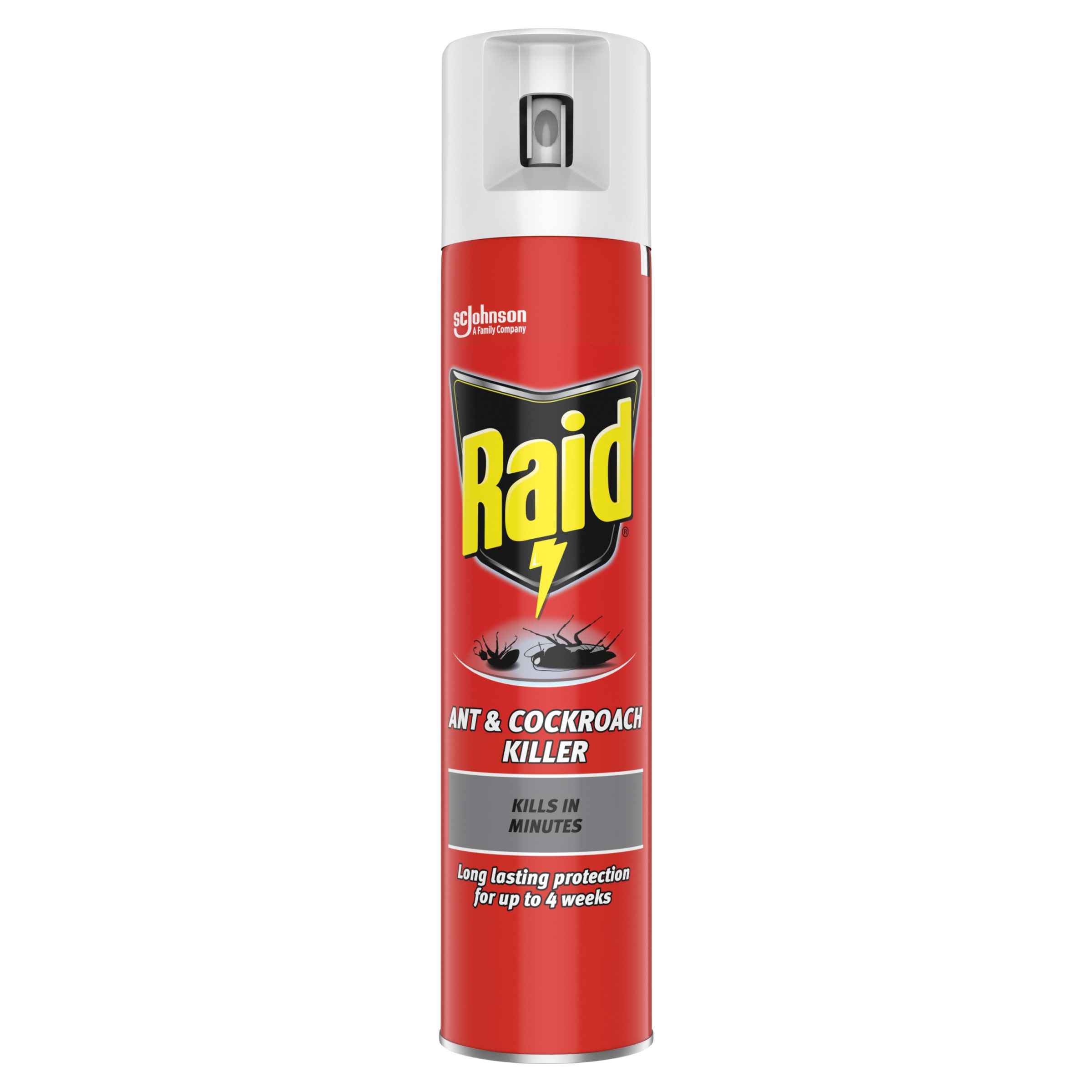 Raid Ant & Cockroach Insect spray 300ml