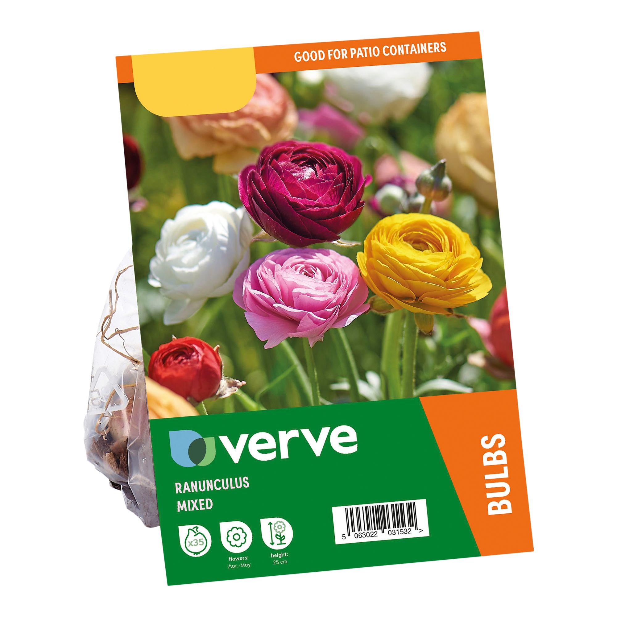 Ranunculus Mixed 35 Flower bulbs - 3