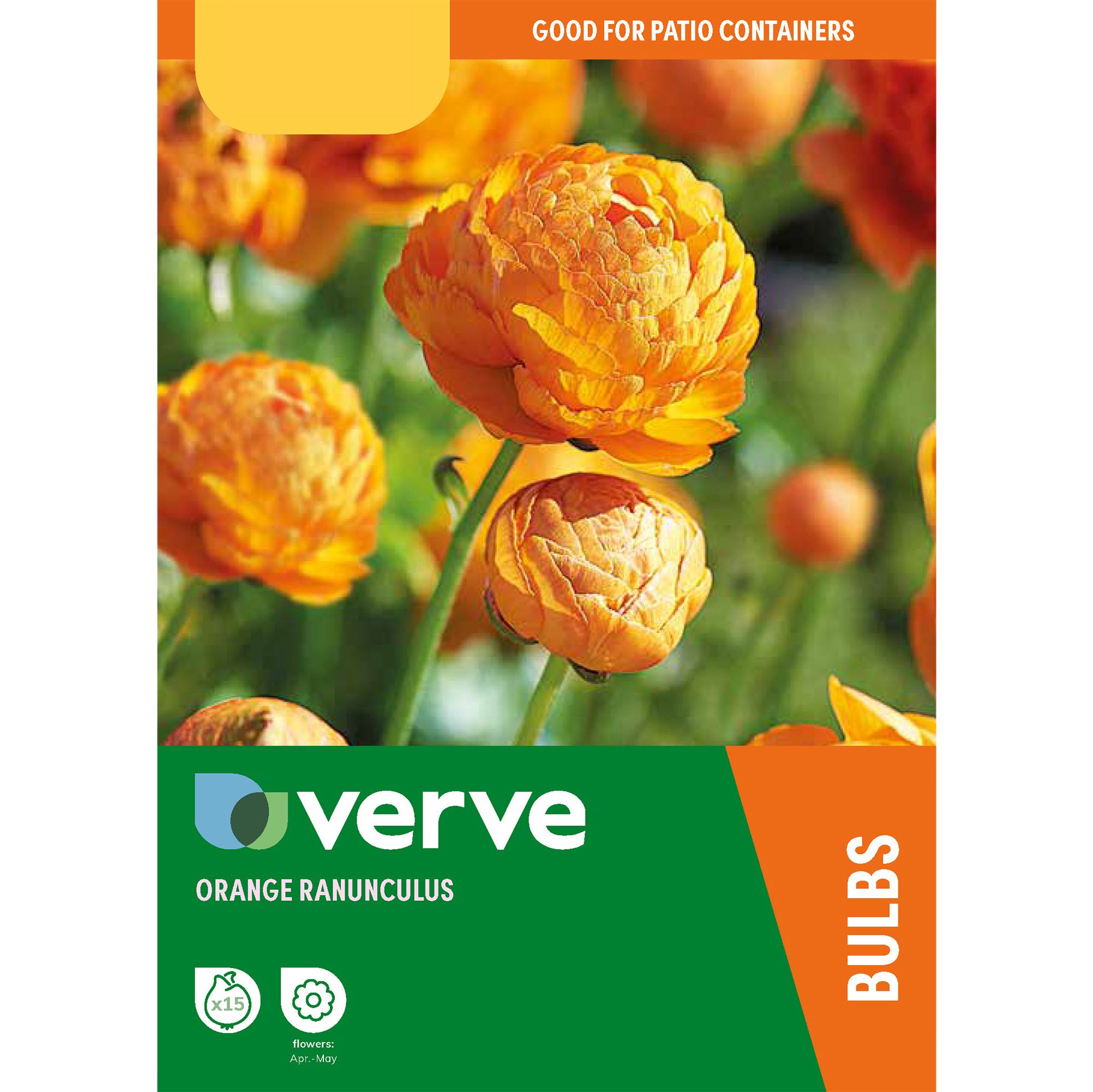 Ranunculus Orange 15 Flower bulbs