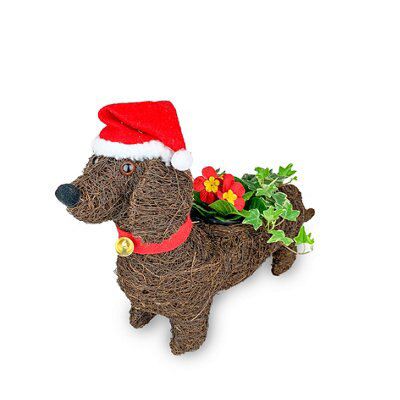 Red Assorted Wicker Novelty Dog Planter 40cm Height Diy At B Q
