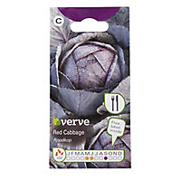 Red cabbage roodkop Cabbage Seed