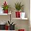 Red Ceramic Plant pot (Dia)24cm