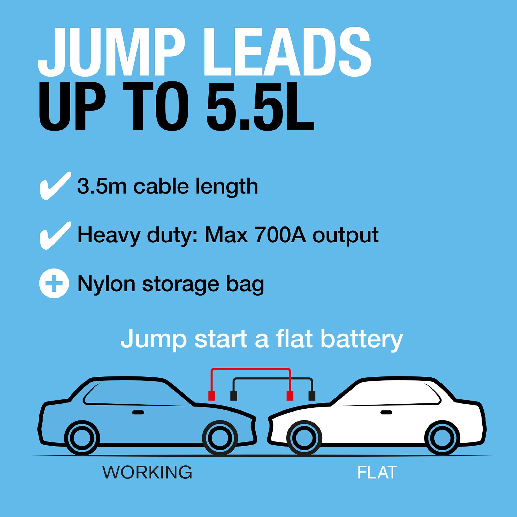 Ring Automotive Professional RBC250A 350mA Jump lead (L)3.5m