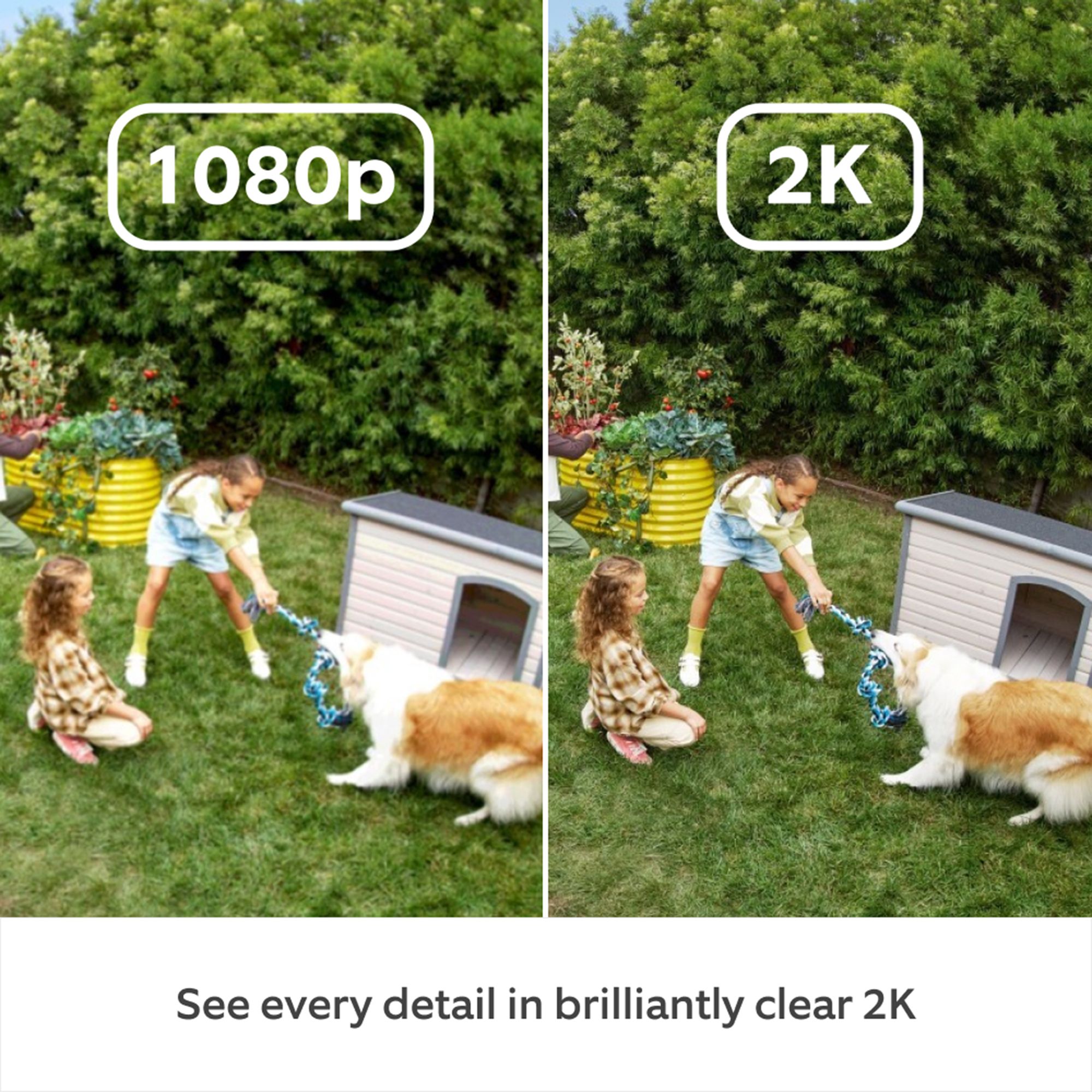 Ring Plus White Smart battery-powered IP camera