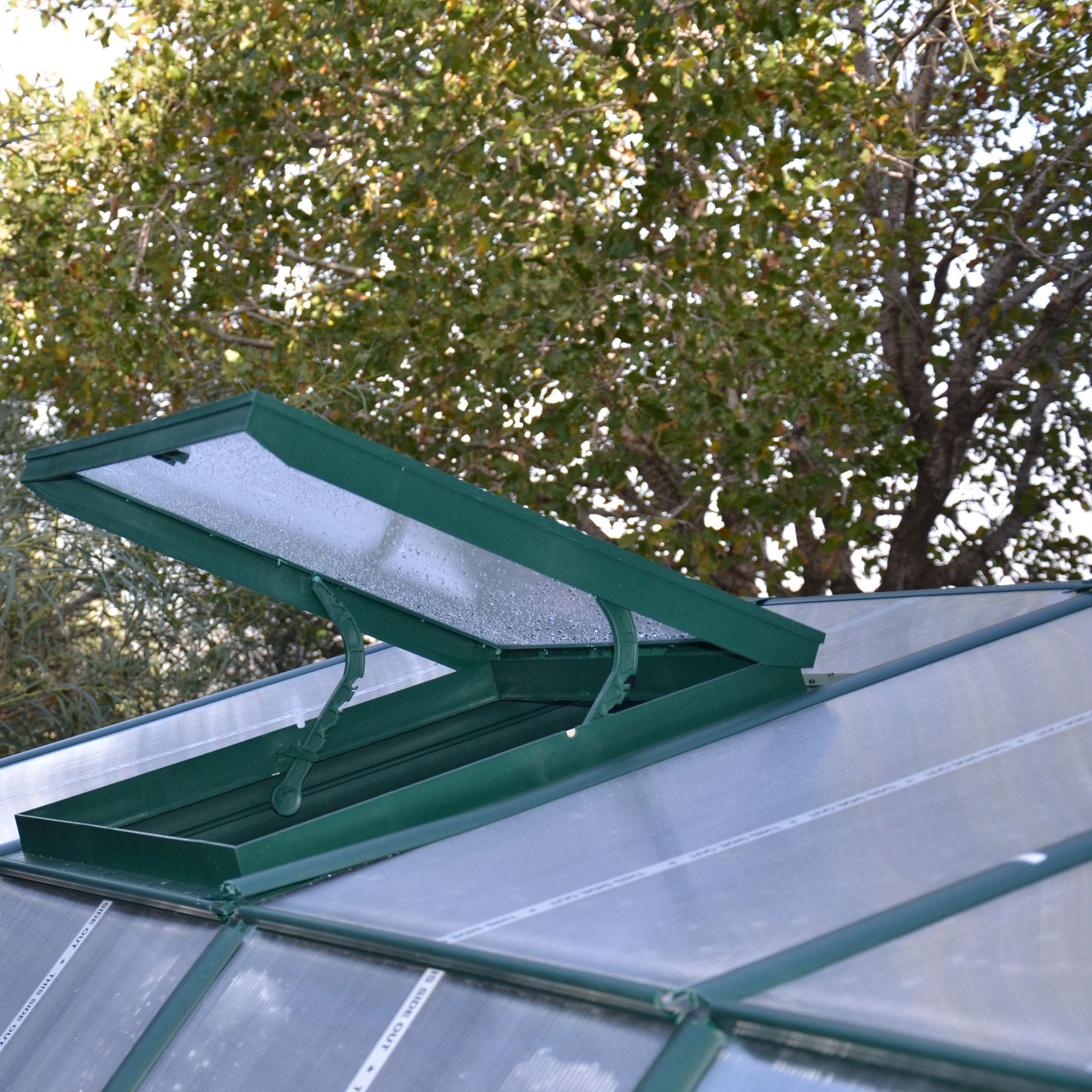 RION GRAND GARDNER 8X20 FT GREEN POLYCARBONATE (PC) BARN GREENHOUSE ...